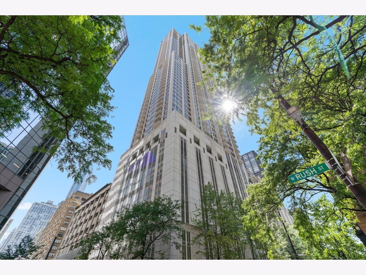  For Sale Chicago Illinois, 55 Erie Street