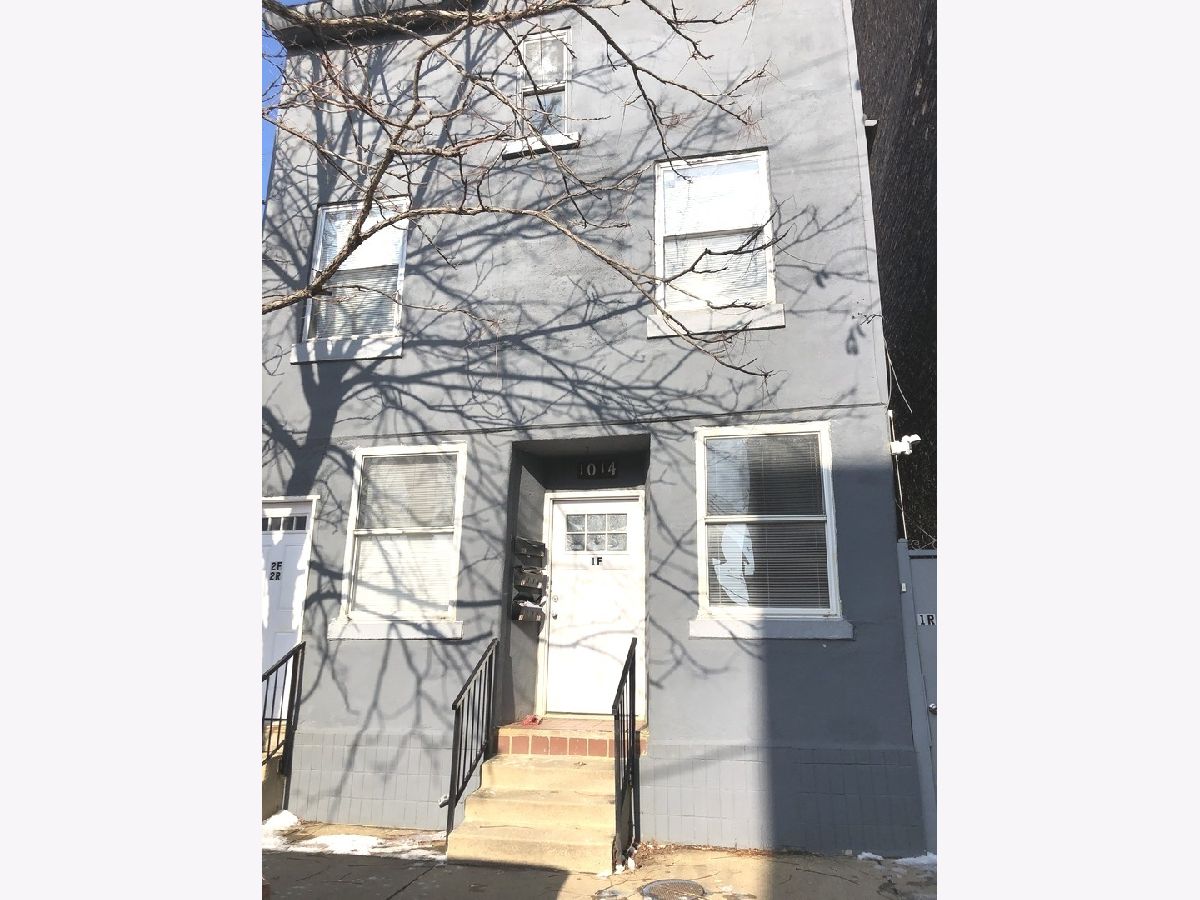Condos & Townhomes & Homes For Rent Pilsen Chicago Illinois, 1014 19th