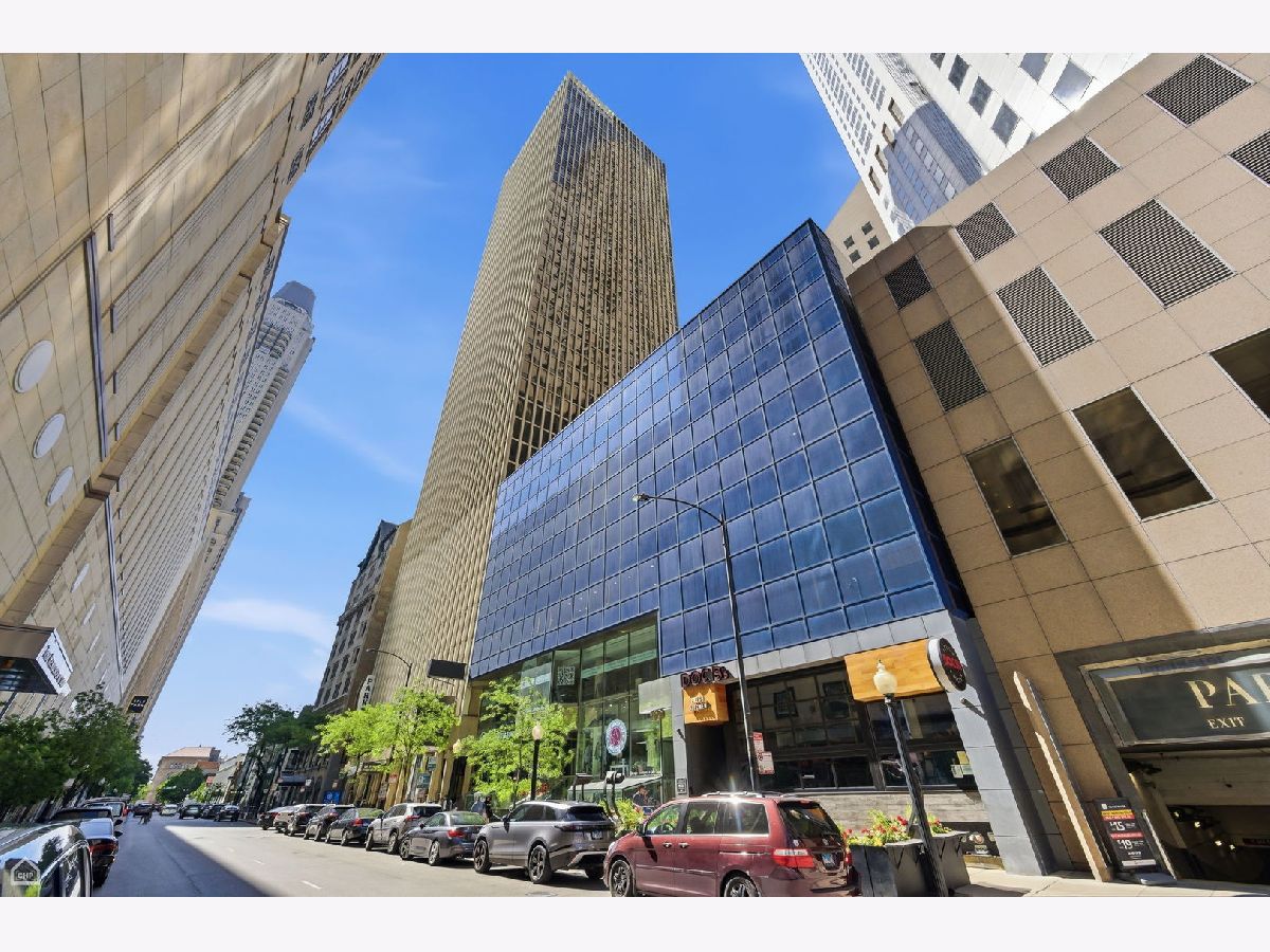  For Sale Chicago Illinois, 100 Walton Street