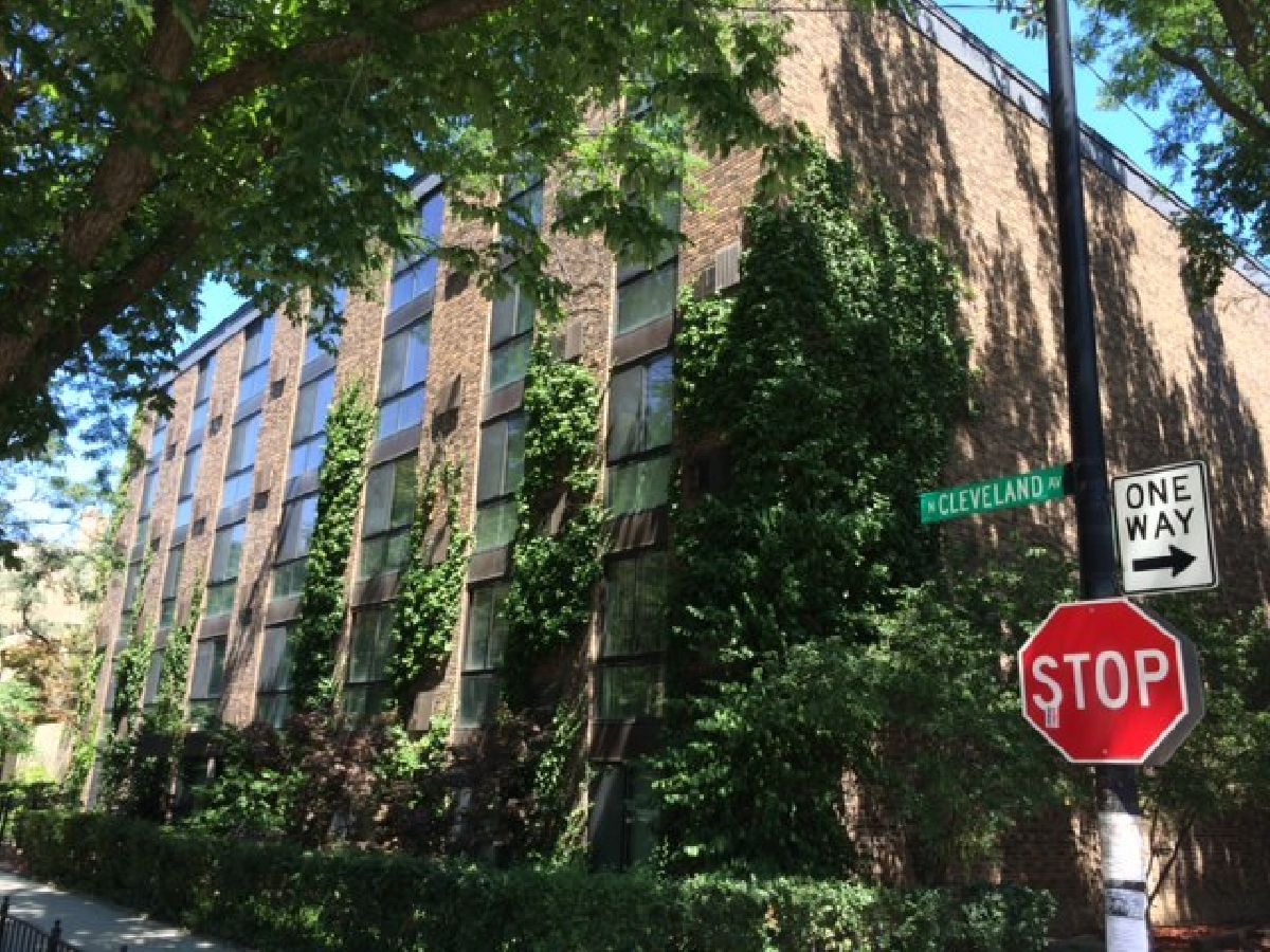  For Rent Chicago Illinois, 2201 Cleveland
