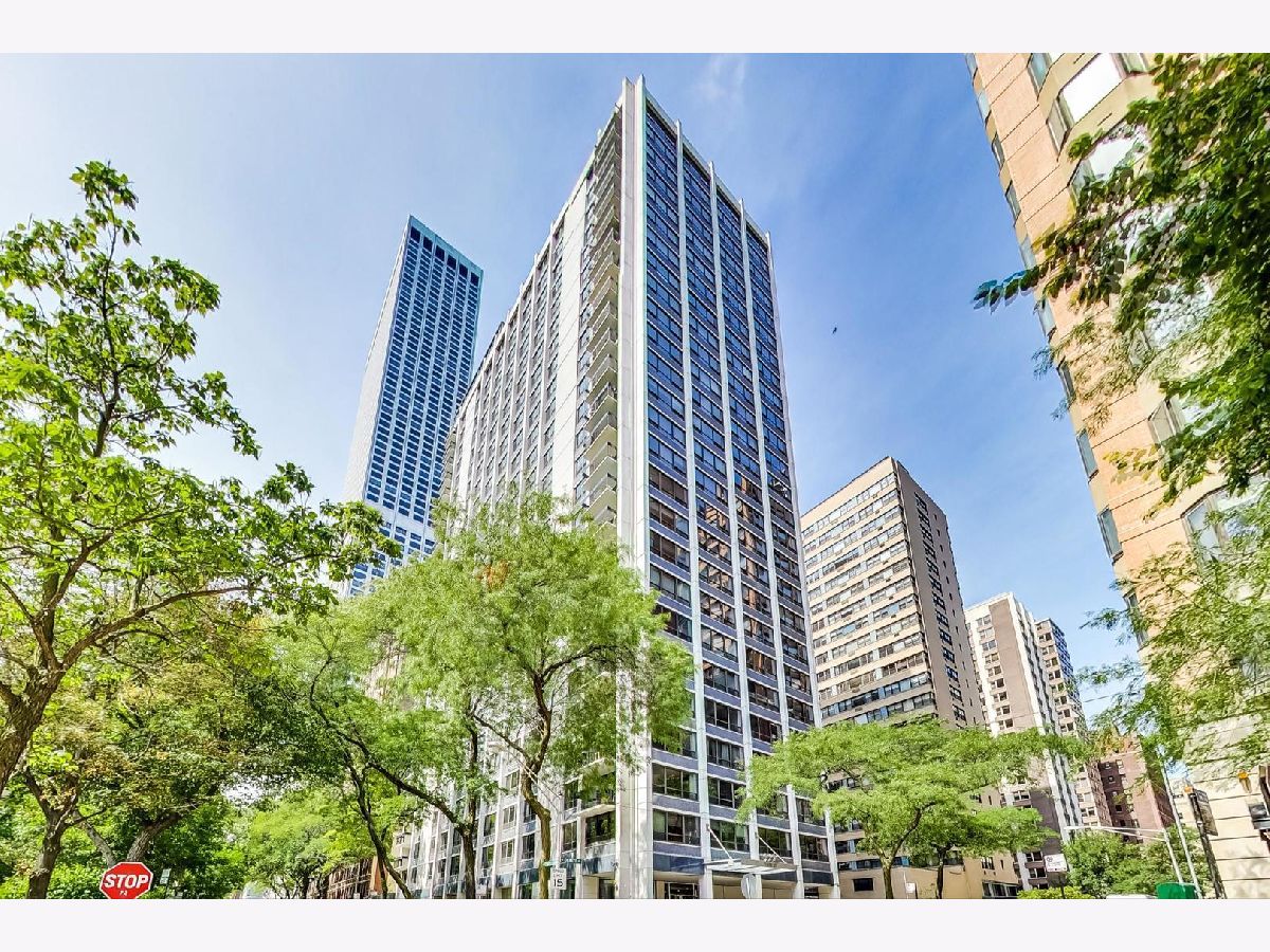 Condominiums Rented Pearson On The Park Chicago Illinois, 222 Pearson