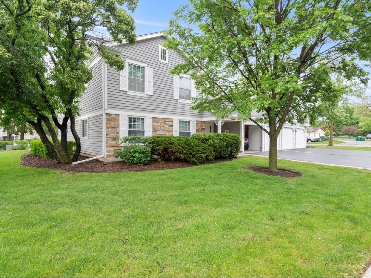  Rented Buffalo Grove Illinois, 251 Appletree