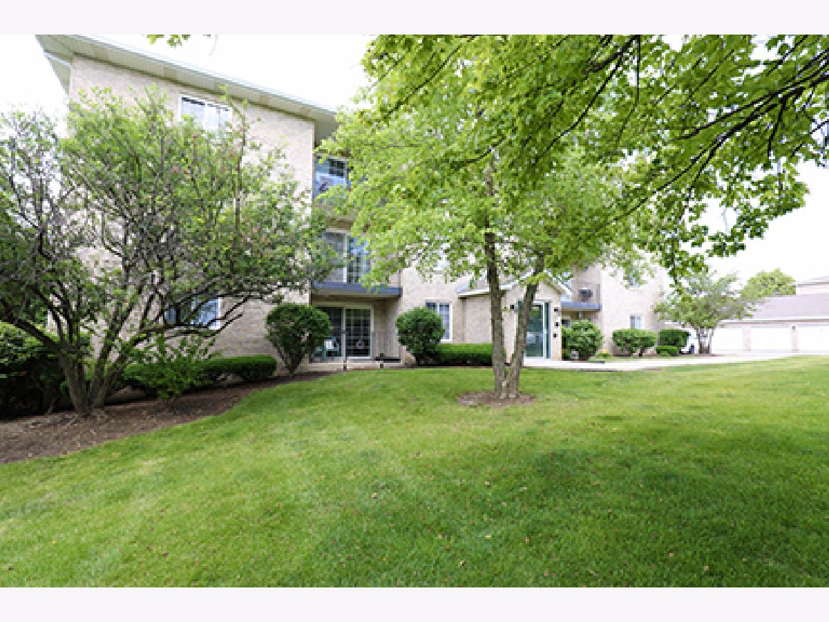  For Sale Homer Glen Illinois, 12936 159th Street