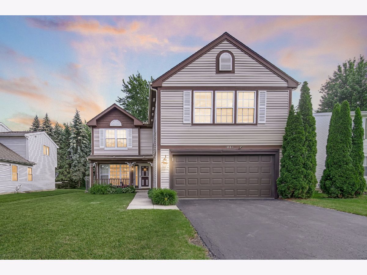  For Sale Round Lake Beach Illinois, 1001 Martingale Lane