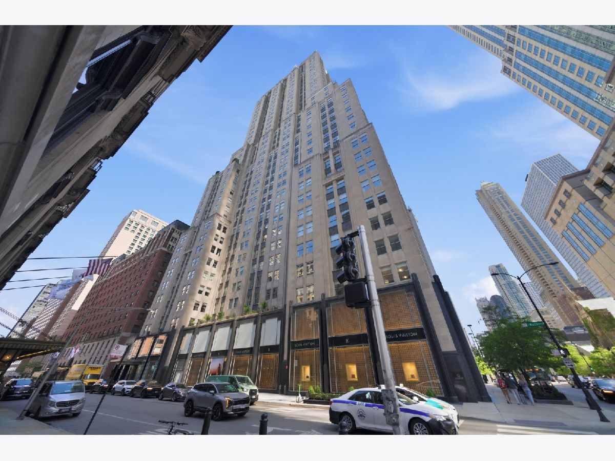 Condos & Townhomes For Sale Palmolive Building Landmark Chicago Illinois, 159 Walton Place