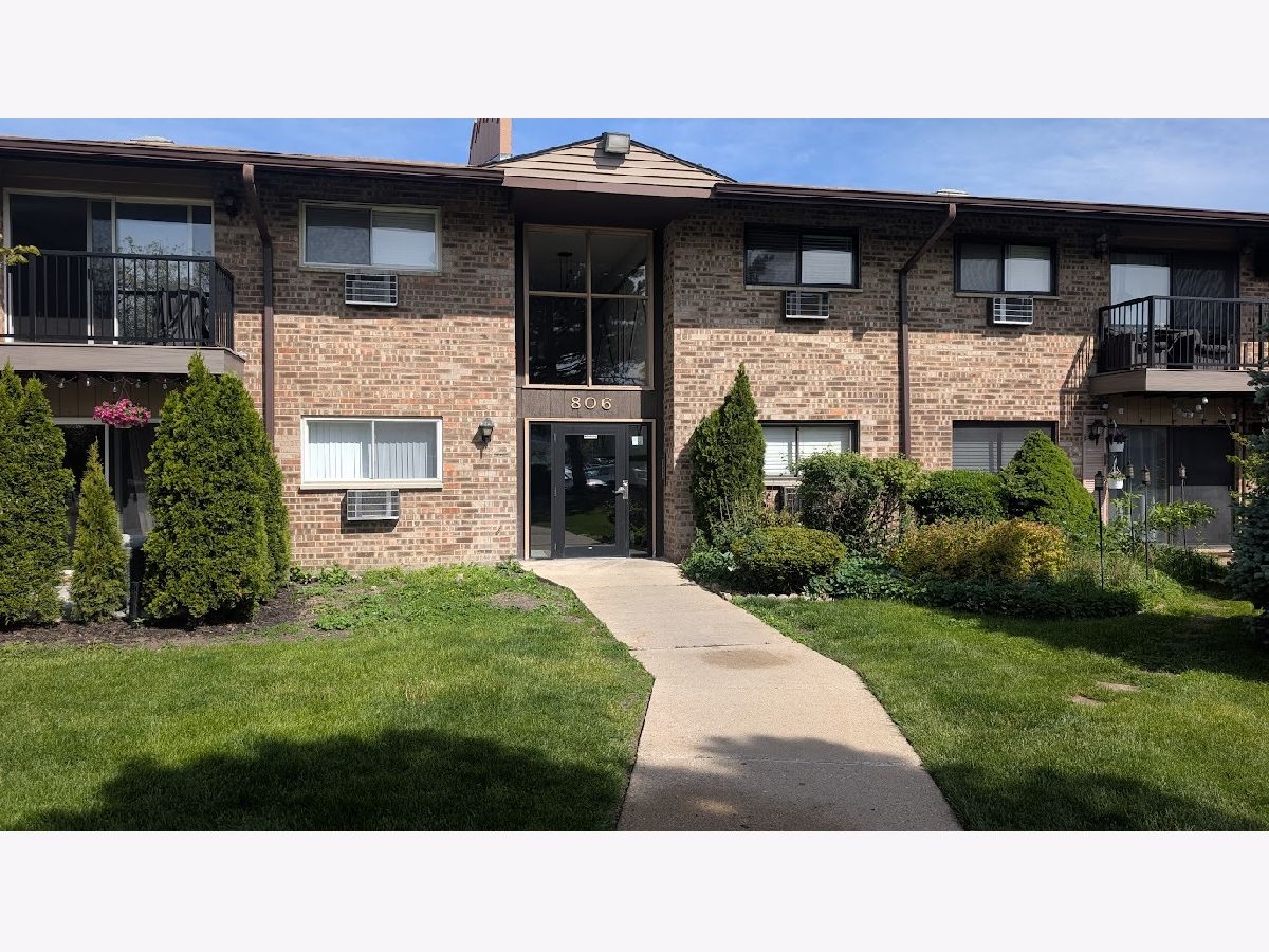 Condominiums For Sale Willow Heights Prospect Heights Illinois, 806 Old Willow Road