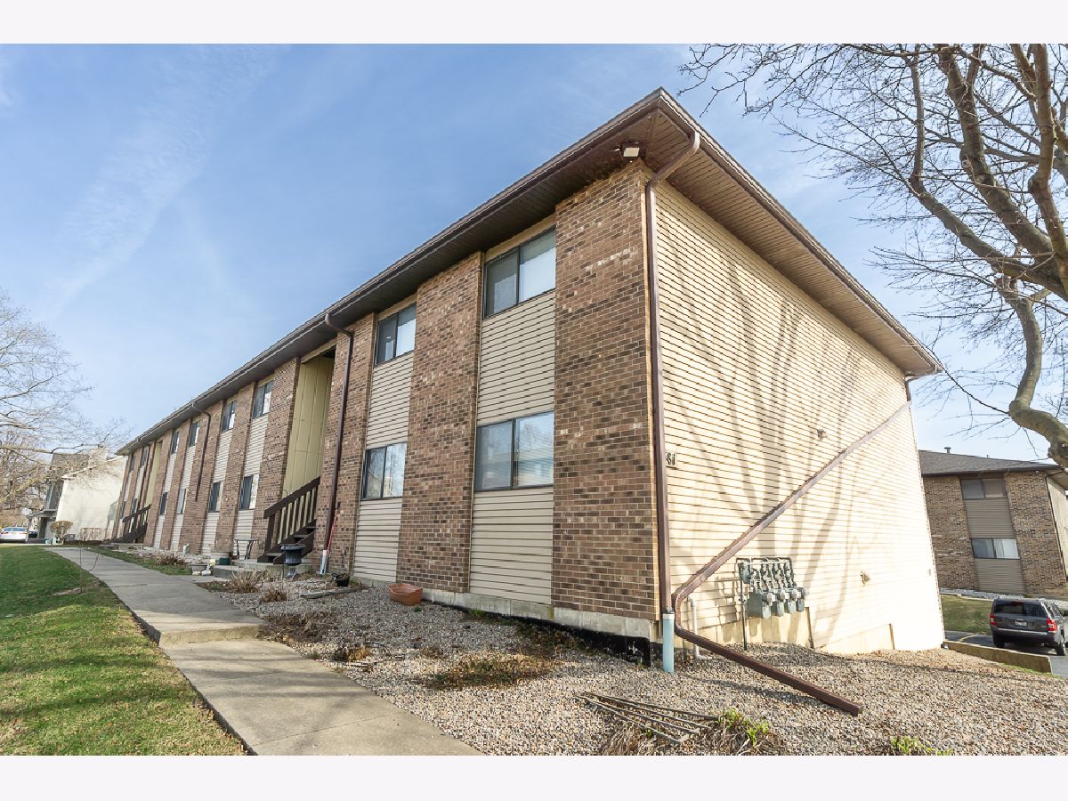  Rented South Elgin Illinois, 381 Collins
