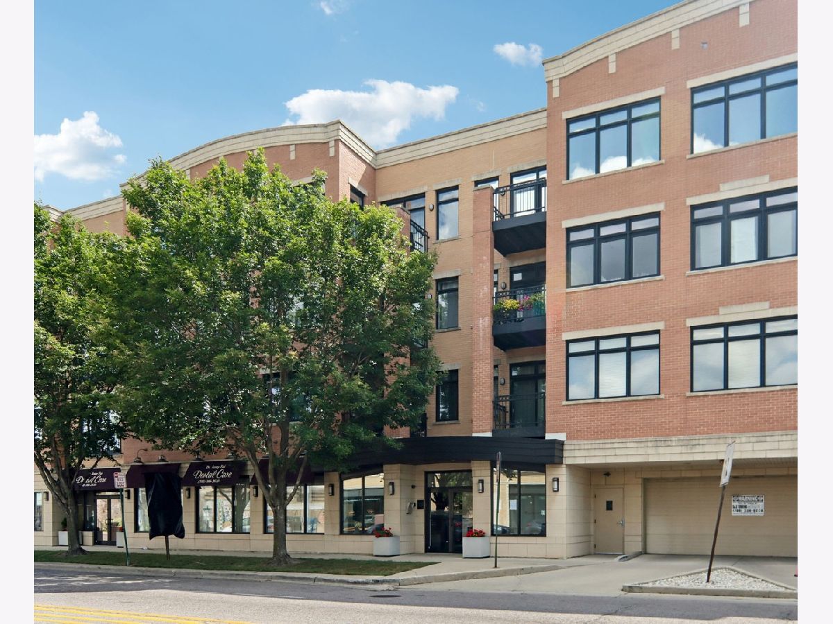  For Rent Oak Park Illinois, 106 Ridgeland