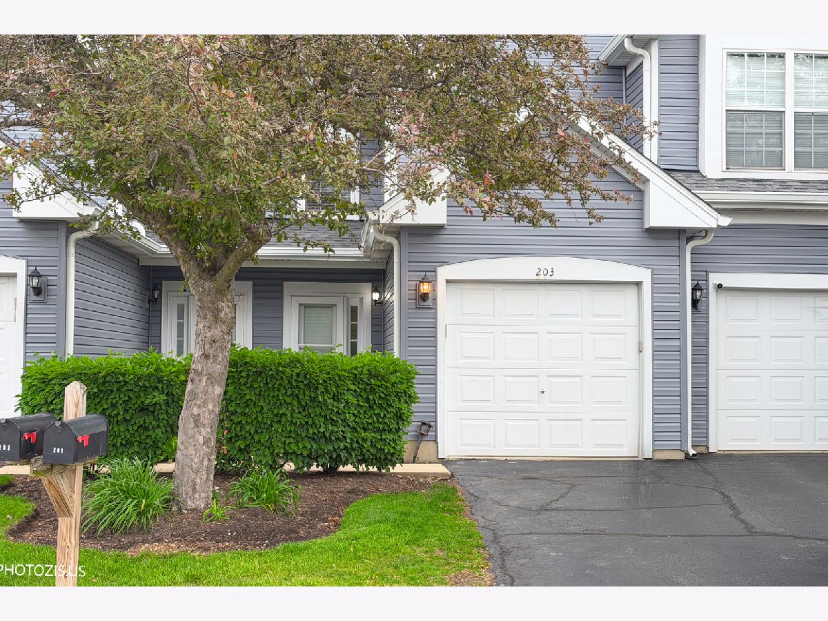  For Sale Oswego Illinois, 203 Oxford Court