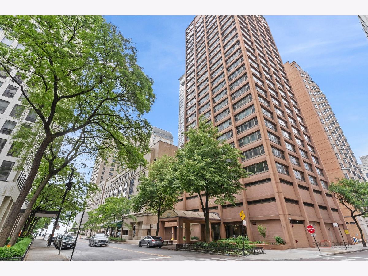 Condos & Townhomes For Sale Streeterville Chicago Illinois, 247 Chestnut Street