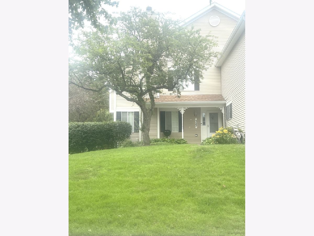  For Sale South Elgin Illinois, 523 Lowell Drive