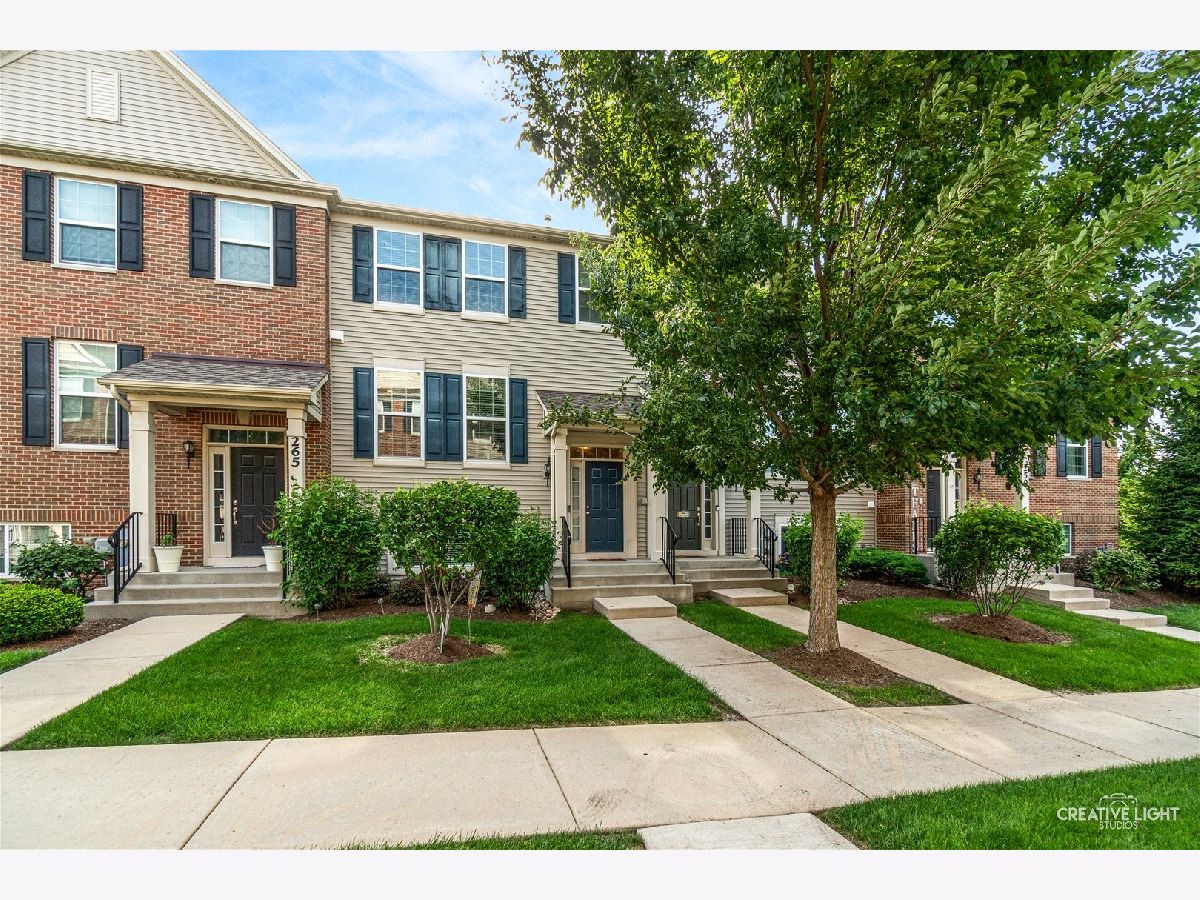 Townhomes & Homes For Sale Southbury Oswego Illinois, 263 Lakeshore Drive
