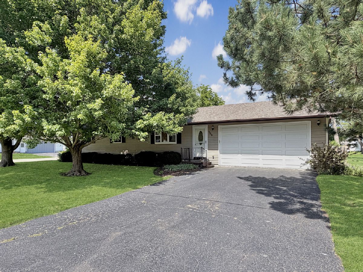  Sold Forreston Illinois, 309 Maple