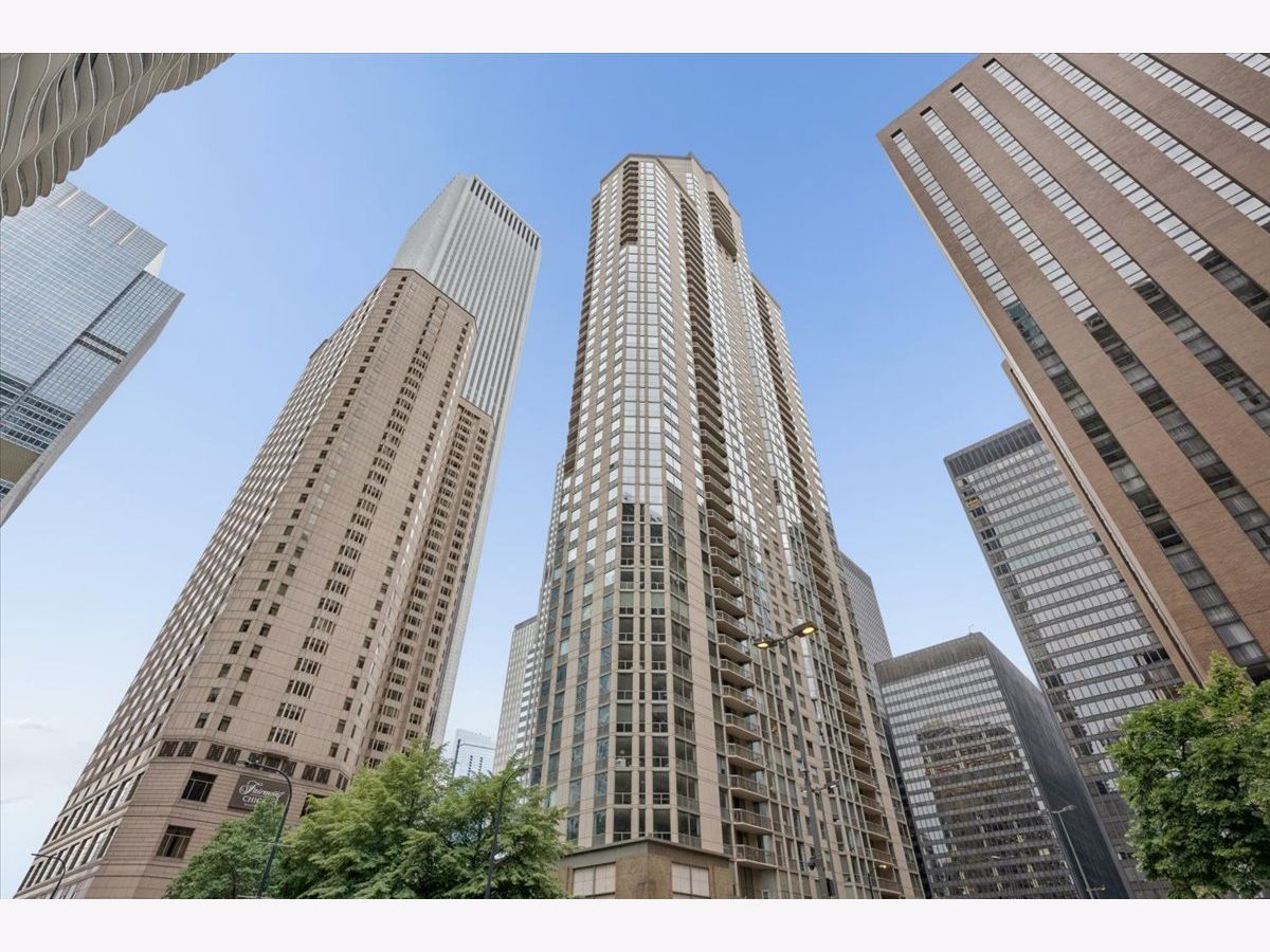 Condominiums For Sale Park Millennium Condos Chicago Illinois, 222 Columbus Drive