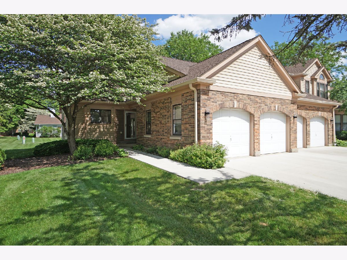 Townhomes & Condos & Homes For Rent Woodlands Of Fiore Buffalo Grove Illinois, 229 Willow