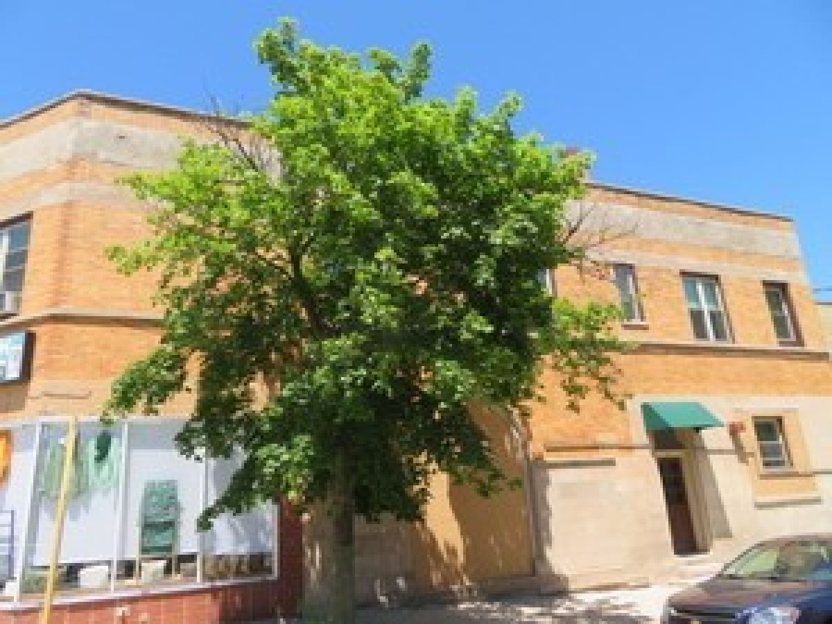  Rented Chicago Illinois, 1552 Highland