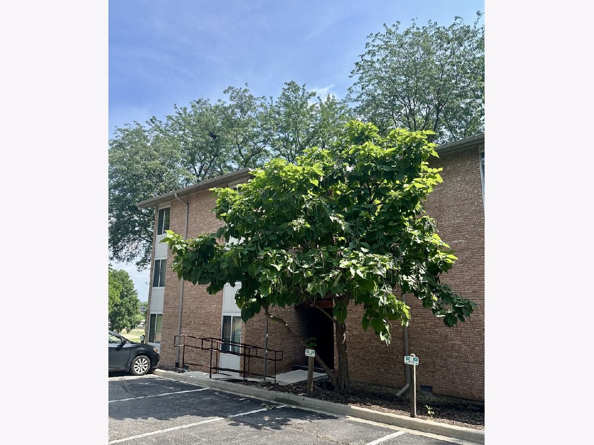 Condos & Townhomes For Sale Four Lakes Lisle Illinois, 5811 Oakwood Drive