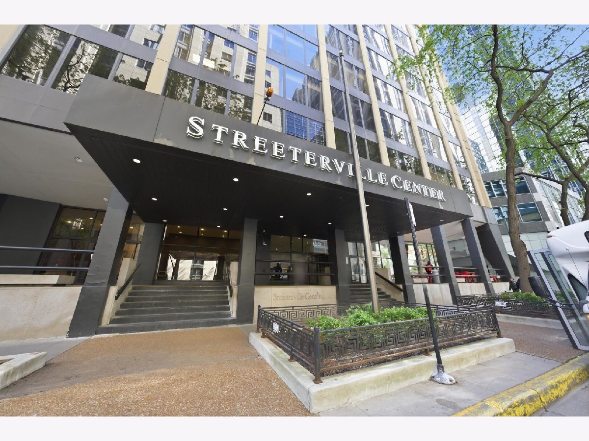 For Sale Chicago Illinois, 233 Erie Street