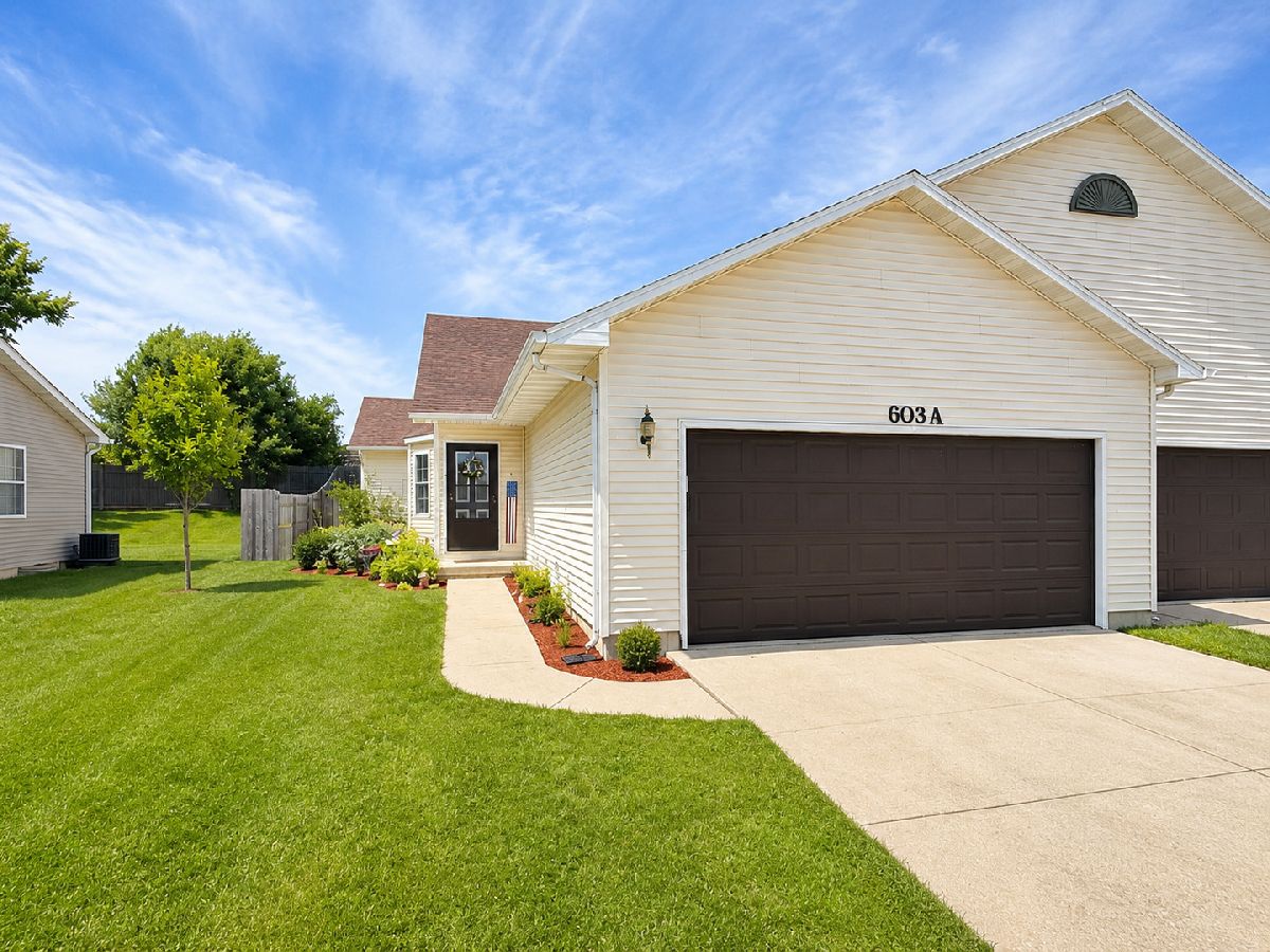  For Sale Minooka Illinois, 603 Davidson Drive