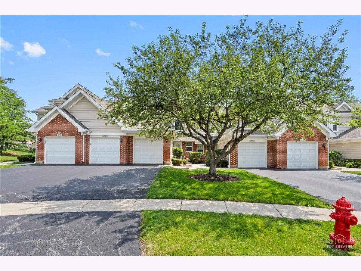 Townhomes & Condos For Sale Heatherwood North Schaumburg Illinois, 325 Odlum Court