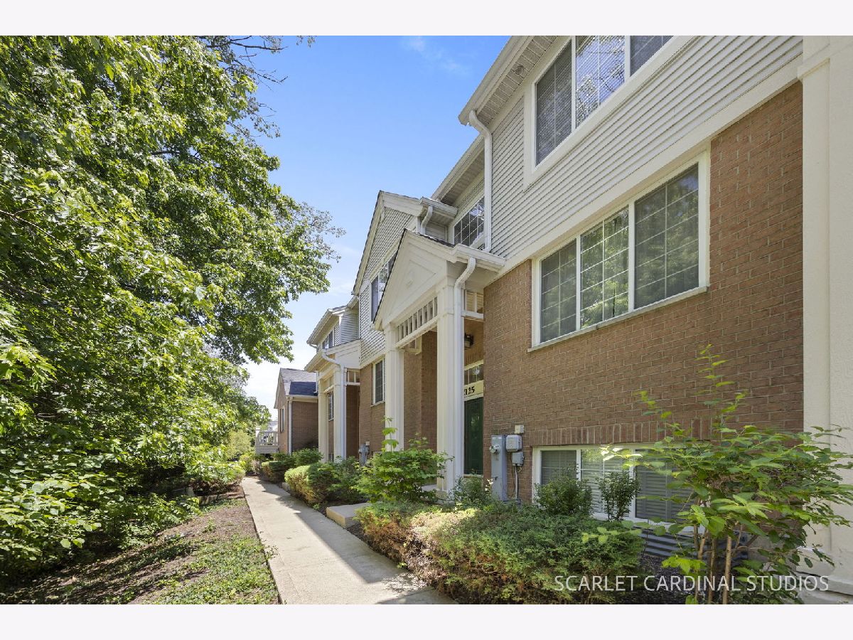 Townhomes For Sale Bella Oaks Addison Illinois, 2125 Concord Lane