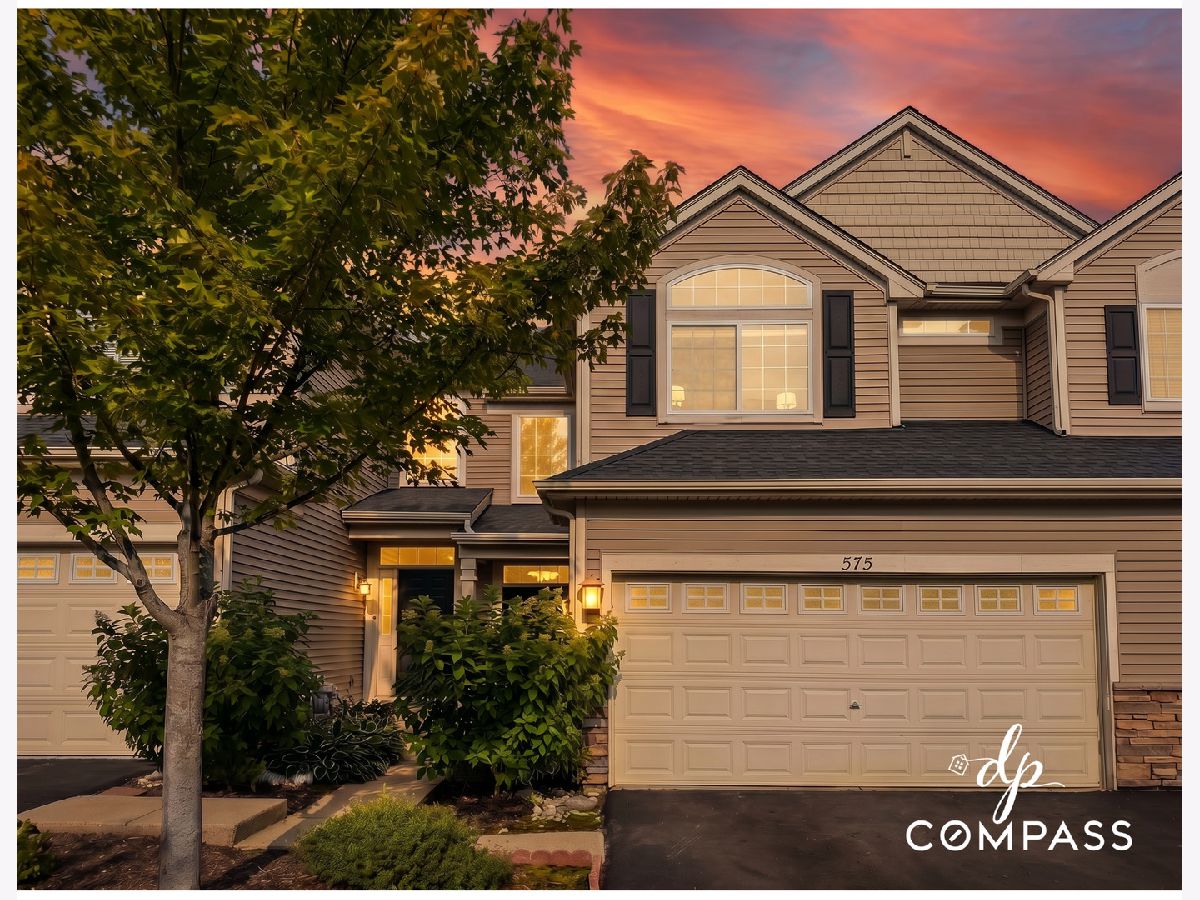 Townhomes & Condos & Homes For Sale Timber Trails Gilberts Illinois, 575 Telluride Drive