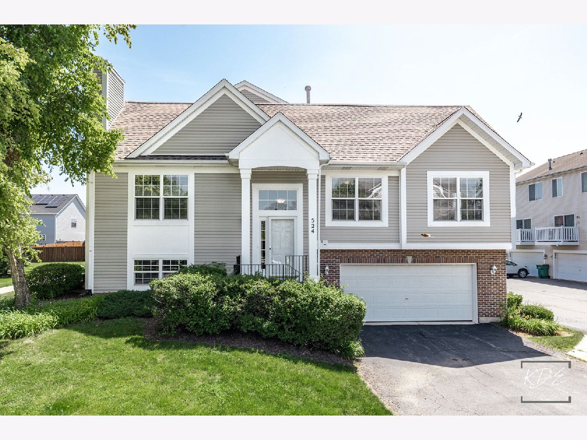  For Rent Joliet Illinois, 524 Meadow Lily