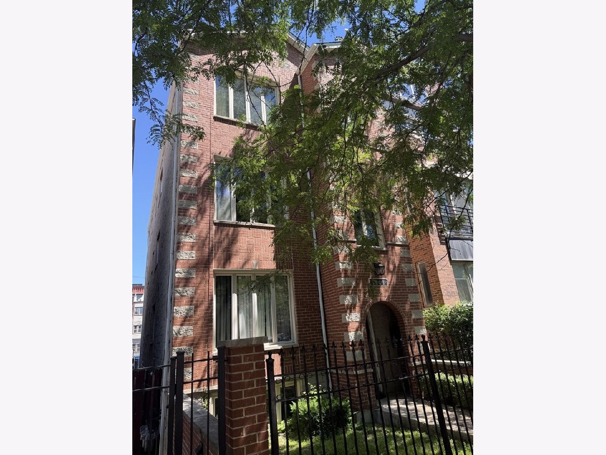  Rented Chicago Illinois, 1444 Walton