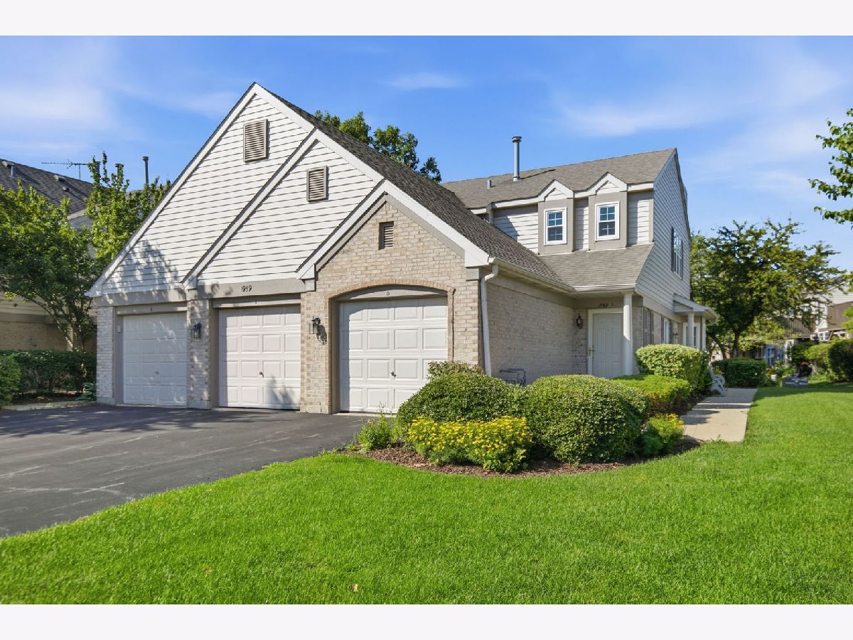Townhomes & Condos For Sale Briar Pointe Schaumburg Illinois, 1959 Heron Avenue