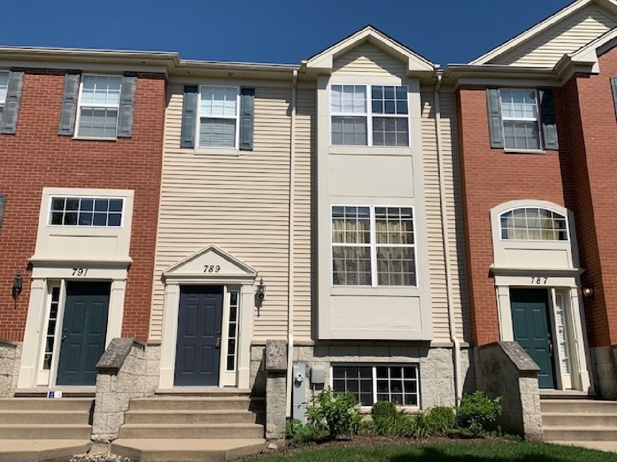 Townhomes & Condos For Rent Lehigh Station Aurora Illinois, 789 Lewisburg