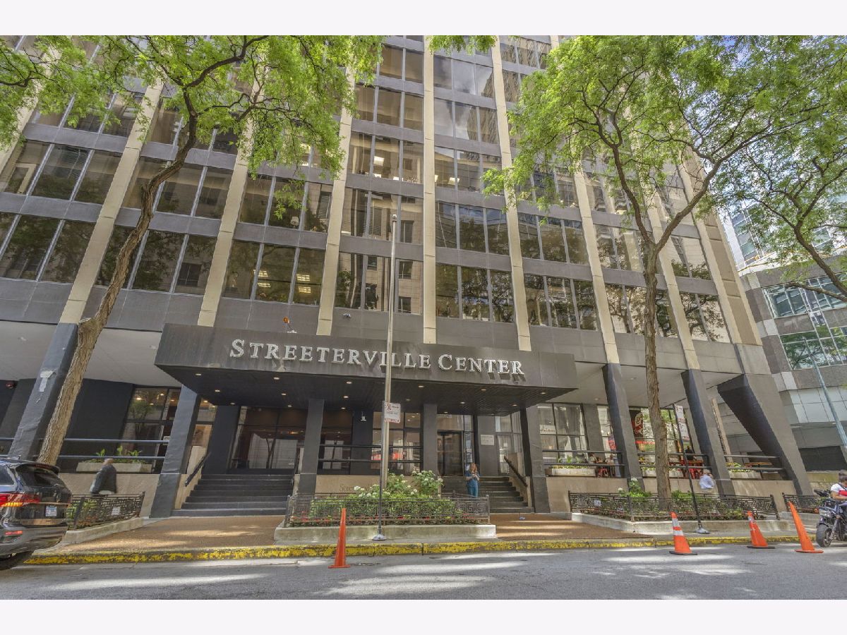 Condos & Townhomes For Rent Streeterville Chicago Illinois, 233 Erie