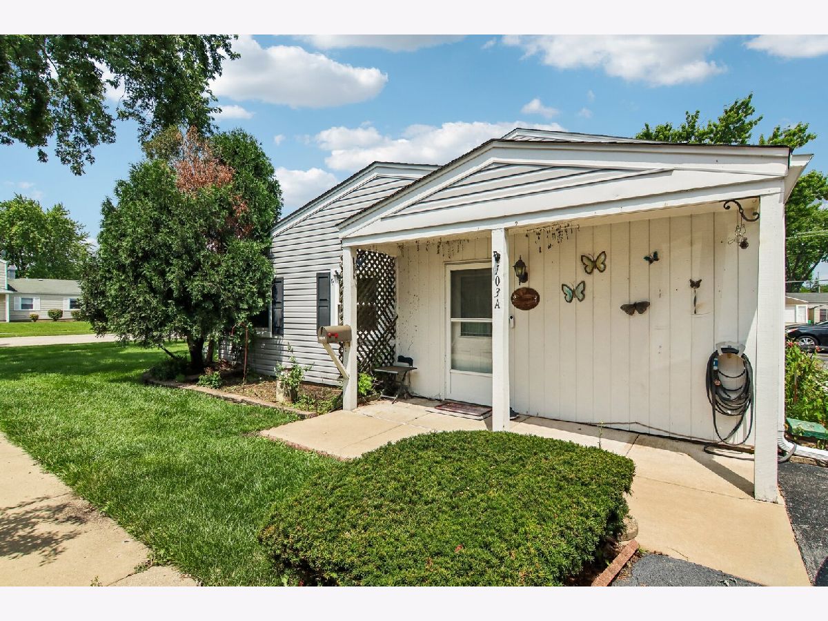 Townhomes & Condos & Homes For Sale Bartlett Green Bartlett Illinois, 103 Daniel Court