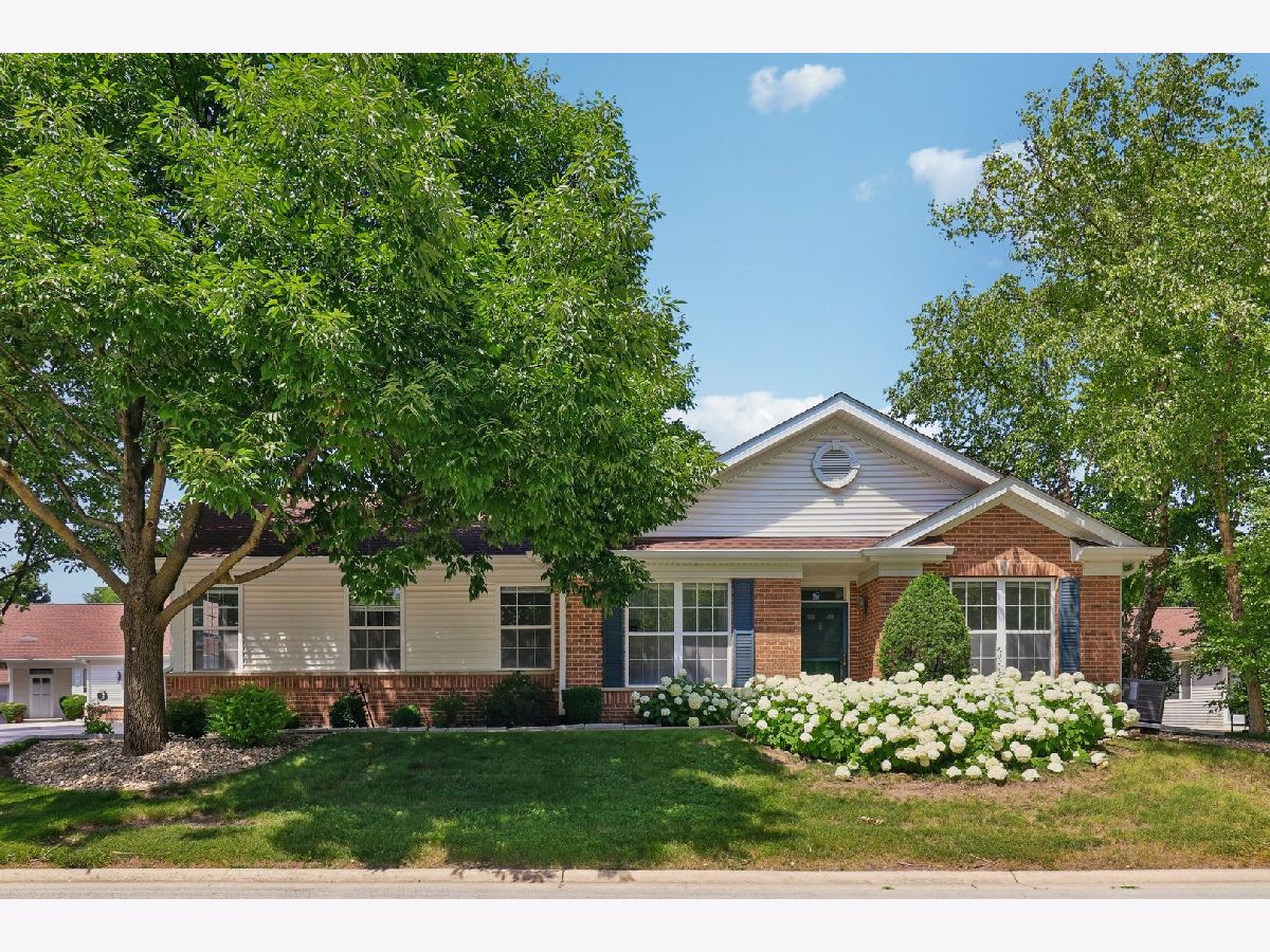 Townhomes & Condos & Homes For Sale Carillon Plainfield Illinois, 13322 Bayberry Lane