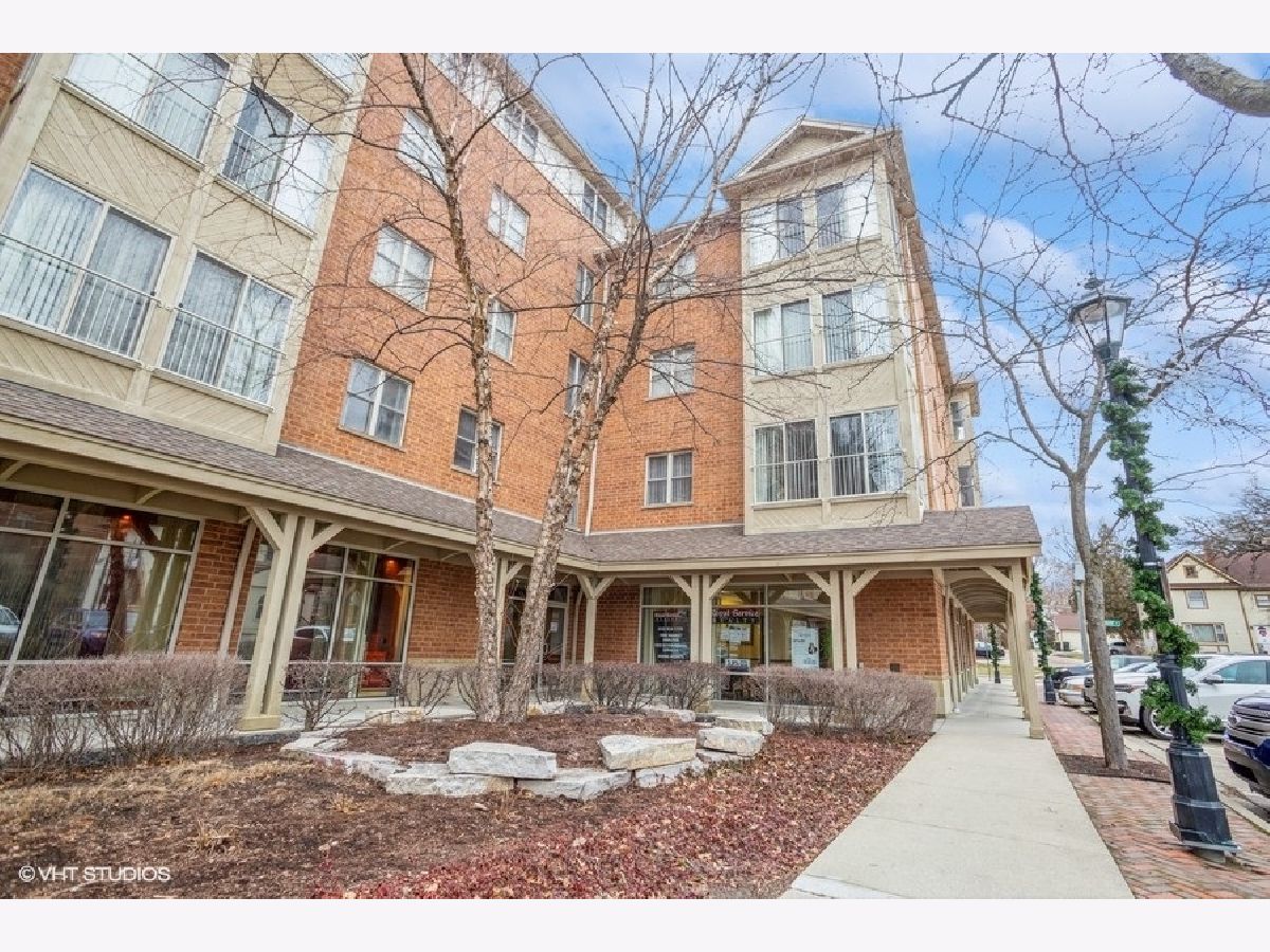 Condominiums For Sale Gateway Commons Roselle Illinois, 100 Bokelman Street