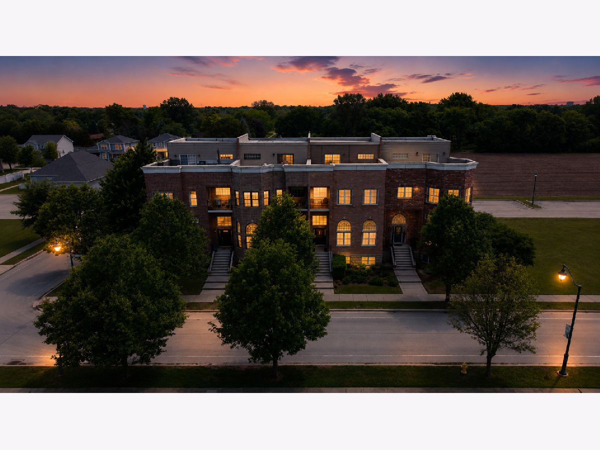 Homes & Townhomes For Sale Town Center Channahon Illinois, 25305 St Elizabeth Drive