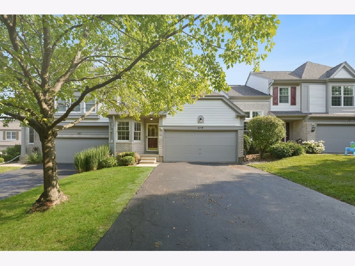  Sold Naperville Illinois, 419 Orleans