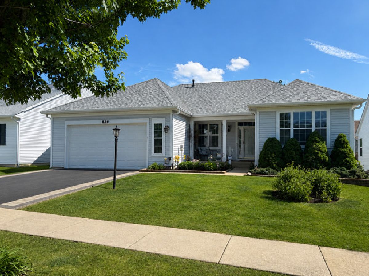 Homes & Condos & Townhomes For Sale Steeplechase Oswego Illinois, 828 Bohannon Circle