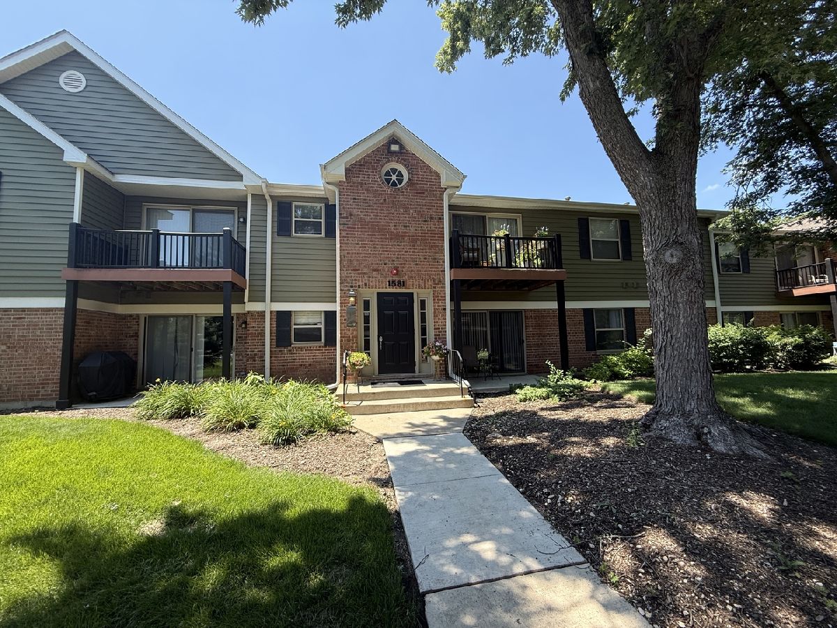 Condominiums For Sale Chantecleer Lakes Naperville Illinois, 1581 Raymond Drive
