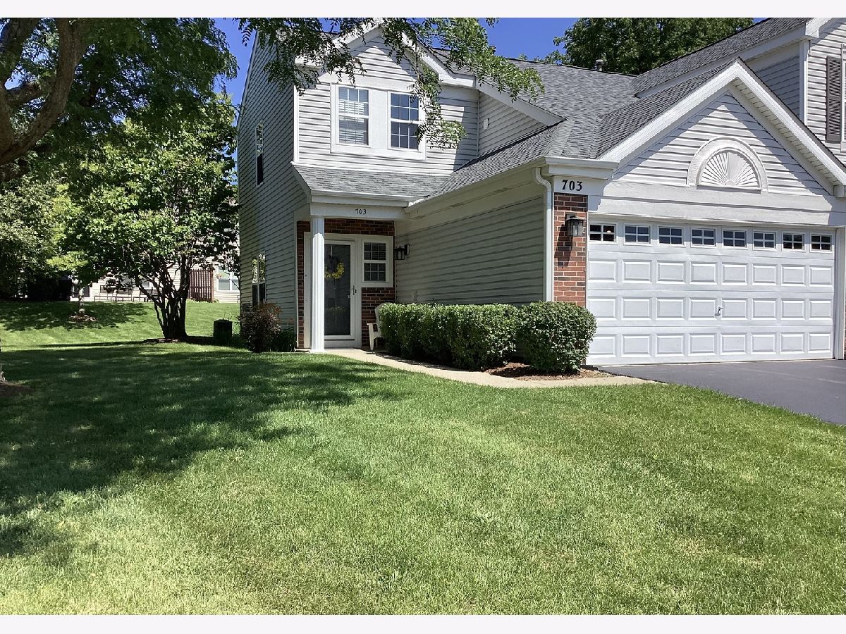 Homes & Townhomes & Condos For Sale Painted Lakes Lake Villa Illinois, 703 Baxter Court