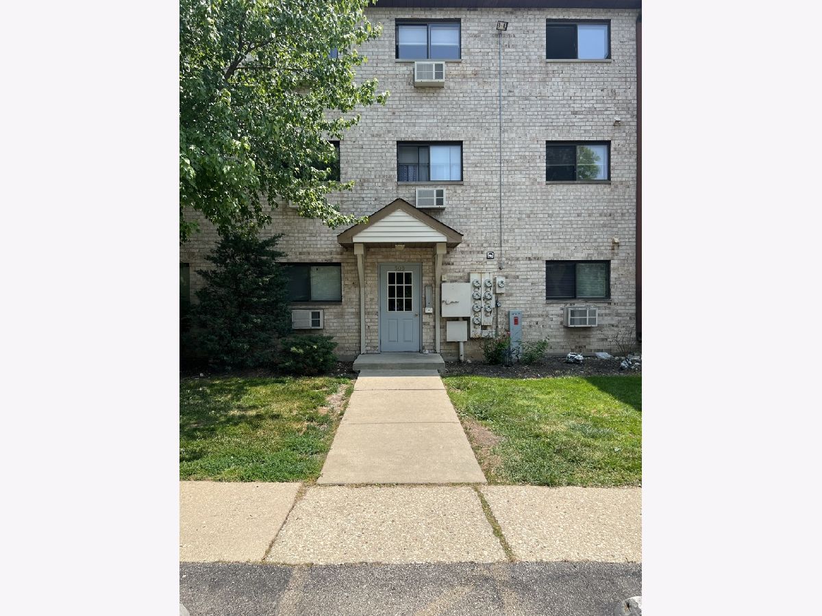  For Rent Palatine Illinois, 509 Spruce