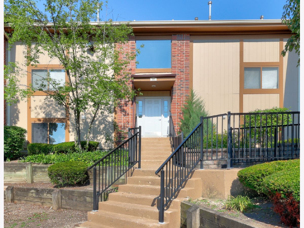 Condos & Townhomes For Sale Lofty Condos Bartlett Illinois, 395 Wilmington Drive
