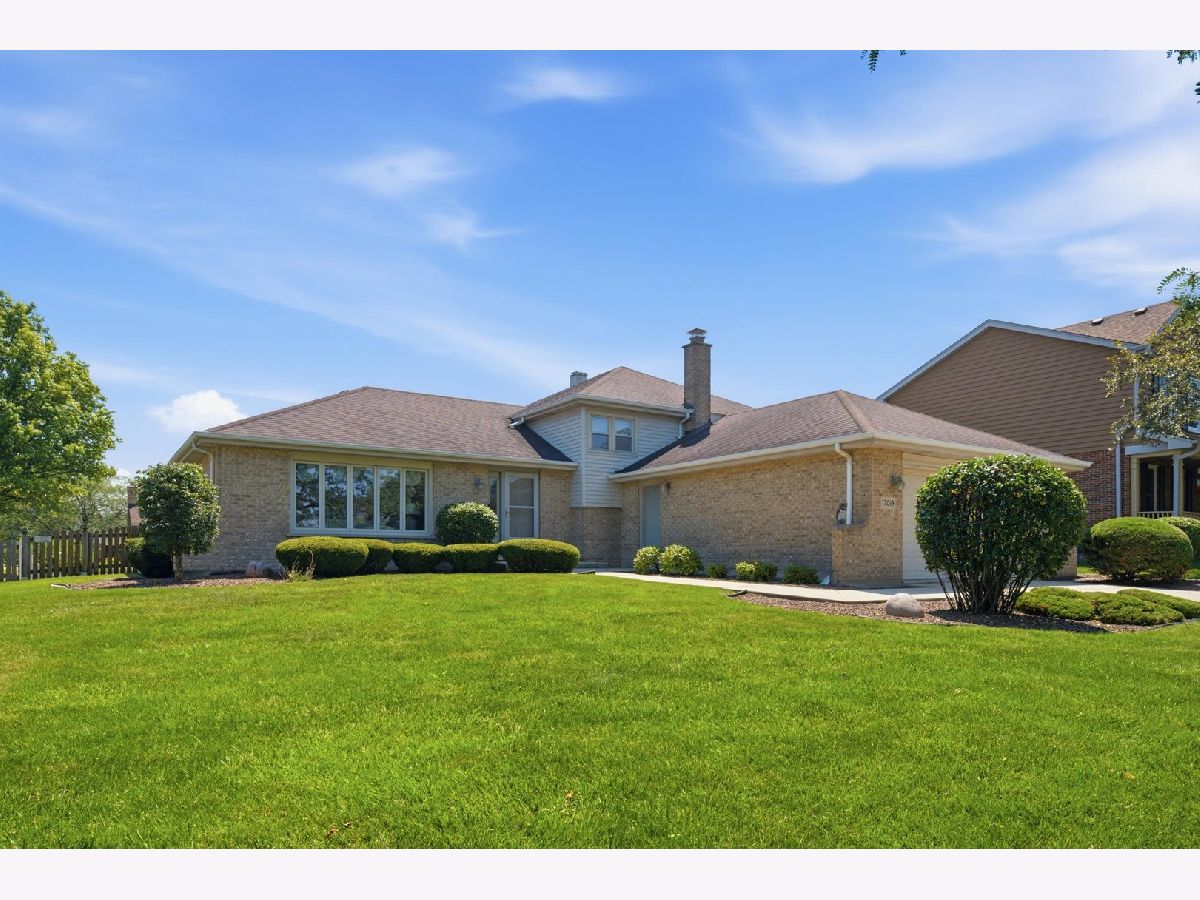 Homes For Sale Fairmont Village Tinley Park Illinois, 17019 Bedford Lane