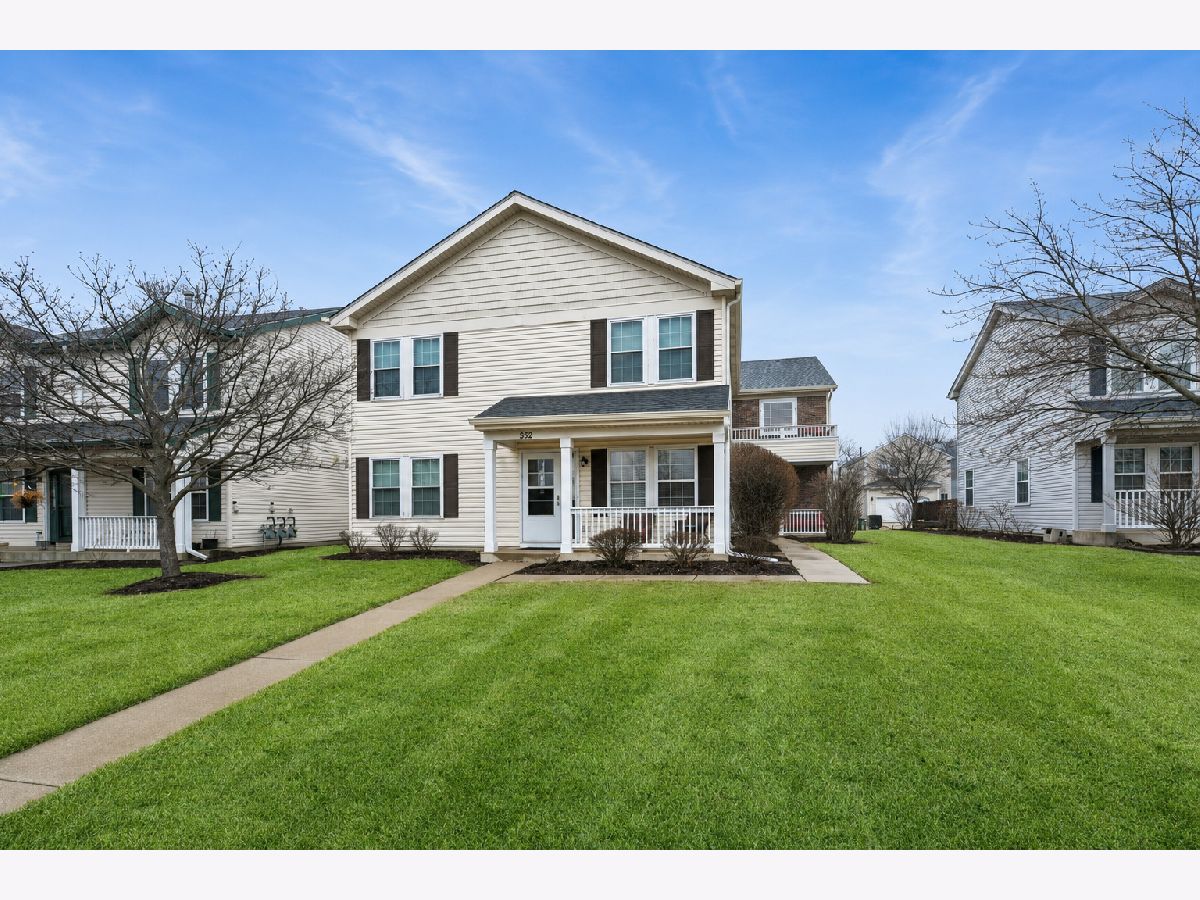 Townhomes & Condos & Homes For Rent Ogden Falls Oswego Illinois, 356 Ogden Falls