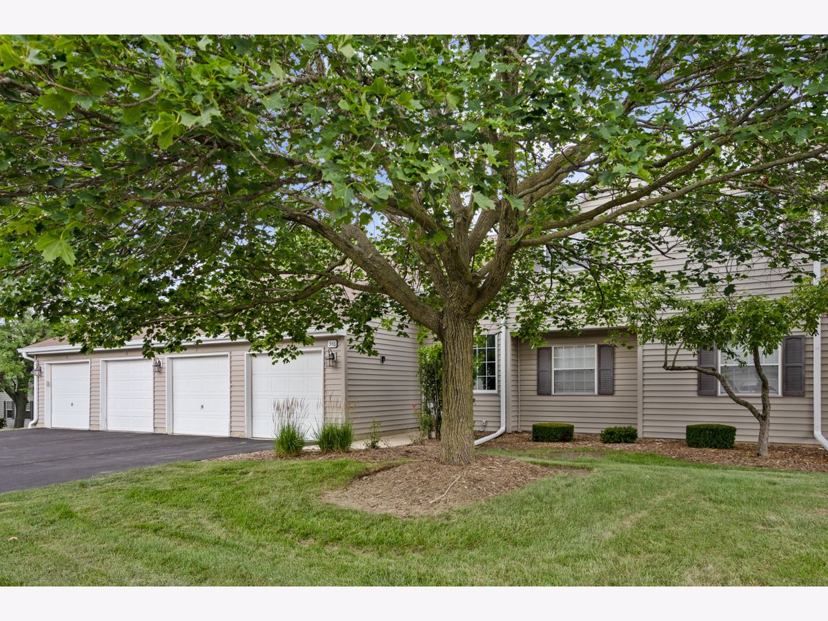  For Rent Streamwood Illinois, 546 Shag Bark