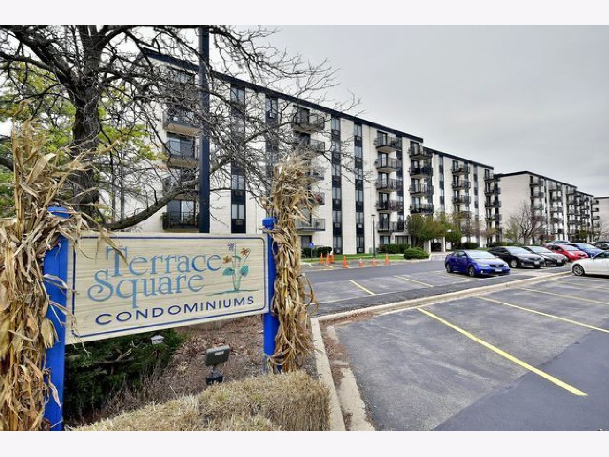 Condos & Townhomes & Homes For Sale Terrace Square Niles Illinois, 9701 Dee Road