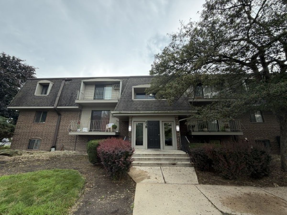  For Rent Naperville Illinois, 238 Bailey