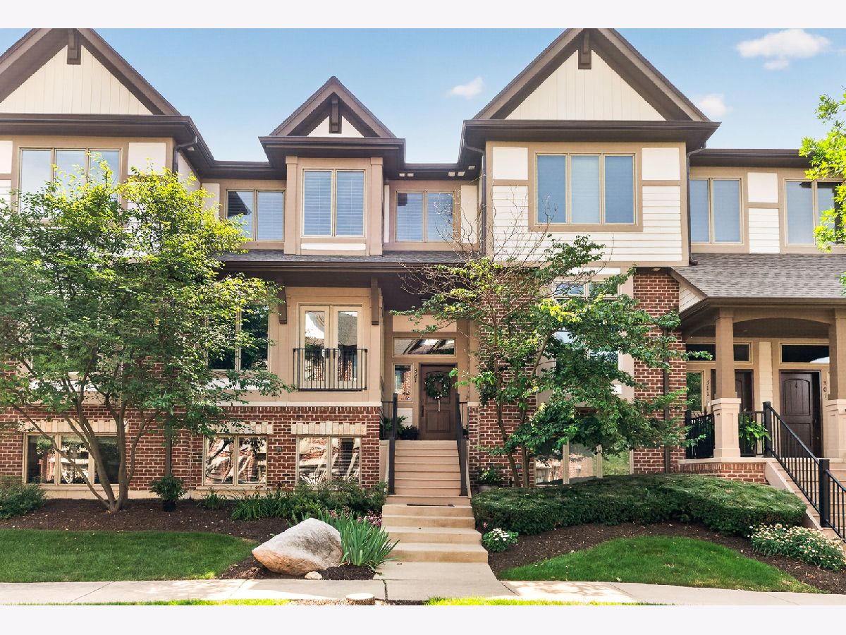 Townhomes For Sale Brownstone At Riversedge St Charles Illinois, 321 Brownstone Drive