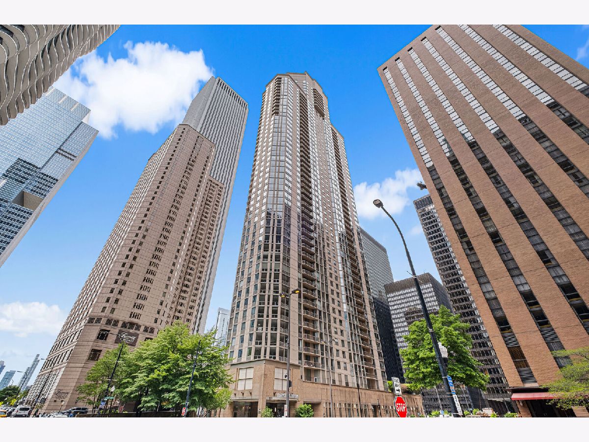 Condominiums For Sale Park Millennium Condos Chicago Illinois, 222 Columbus Drive