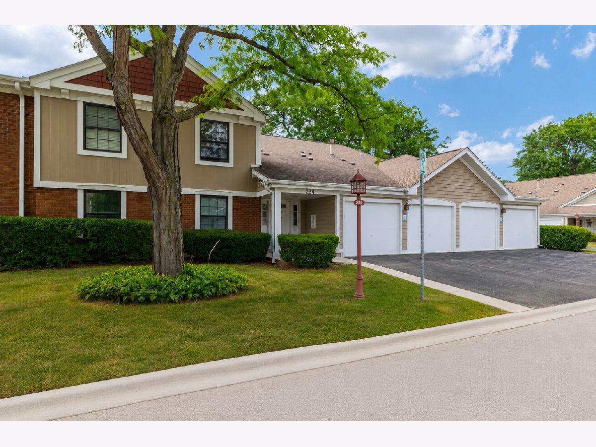 Condos & Townhomes For Sale Lexington Green Schaumburg Illinois, 234 Deerpath Court
