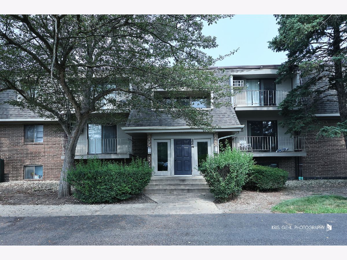 Condominiums For Sale Olive Trees Naperville Illinois, 224 Bailey Road